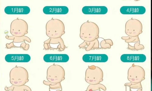 早上反酸吃什么早餐可以缓解-早上胃反酸水吃什么食物好的快专区_早上胃反酸水怎么办专区_早上胃反酸水吃什么食物好网