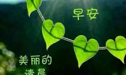 早上胃反酸水吃什么食物好的快专区_早上胃反酸水怎么办专区_早上胃反酸水吃什么食物好网